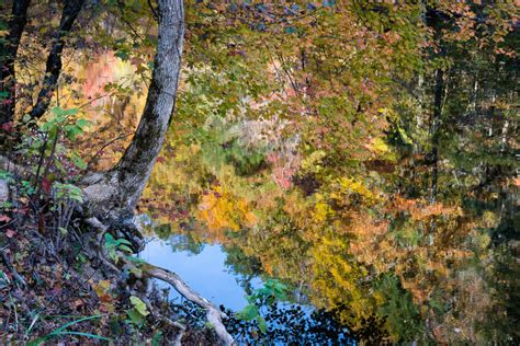 Fall in the Smokies | WP3 Photography