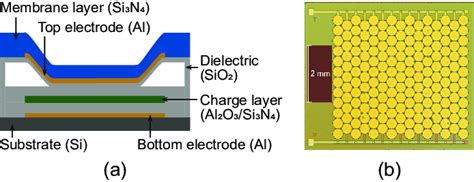 A Schematic Of Collapse Mode Cmut With Charge Trapping Layer In The