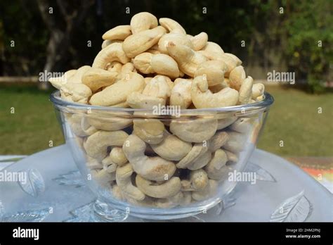 Whole Raw Cashew Nuts W At Rs Kg In Darbhanga Id