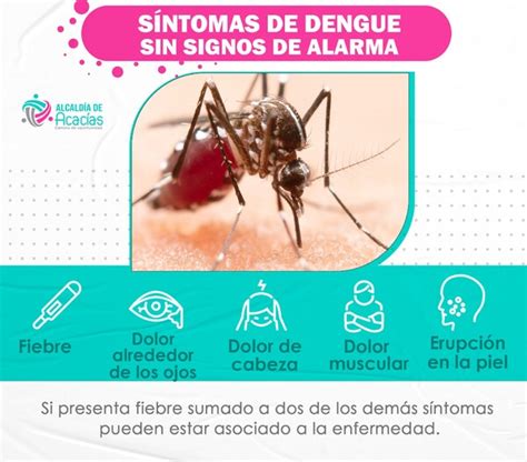 Identifique los síntomas del dengue y acuda a su médico