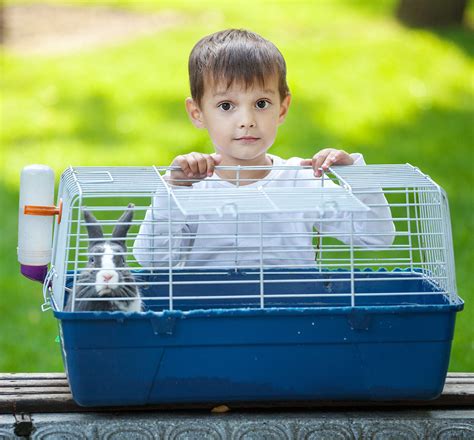 Your Guide To Finding The Best Indoor Rabbit Cage