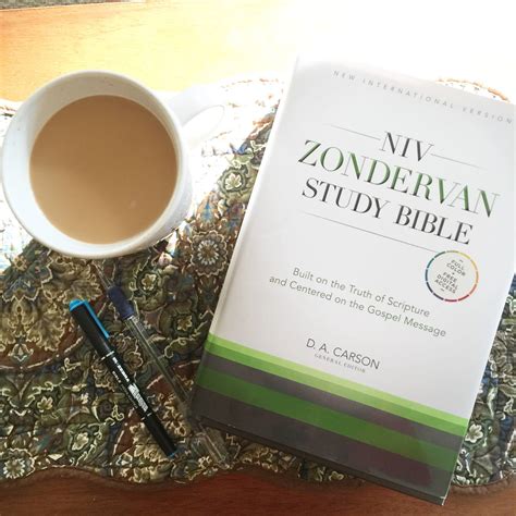 Win the New NIV Zondervan Study Bible – Karen Ehman