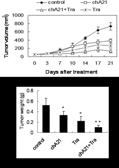 Skov Line Human Ovarian Carcinoma Cells Atcc Bioz