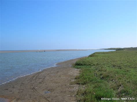 Santuario De La Naturaleza Humedal De La Desembocadura Del R O Lluta