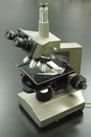 Microscopio de Contraste de Fases Características y Funcionamiento