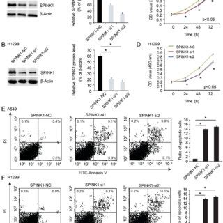 SPINK1 Regulates The Proliferation And Apoptosis Of NSCLC A And B