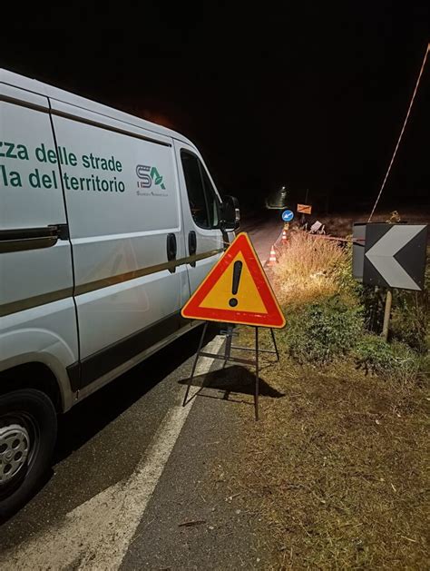 Incidente A Novi Ligure Auto Finisce Fuori Strada E Abbatte Un Palo