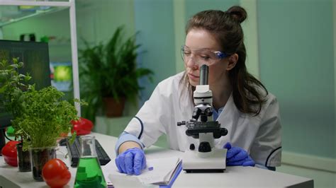 Biologist scientist looking at leaf sample using medical microscope ...