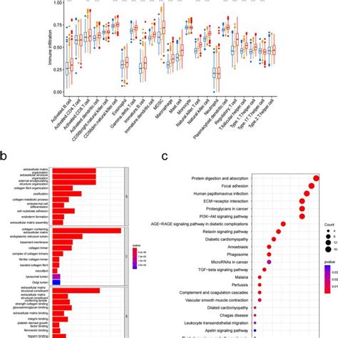 The Analysis Of Immune Cell Infiltration And Enrichment Between