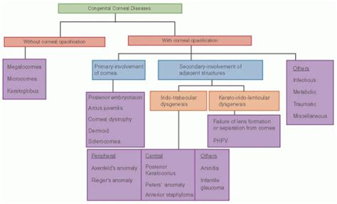 Diseases of the Cornea | Ento Key