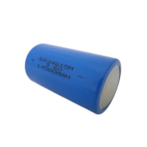 D 3 6V ER34615 Lithium Thionyl Chloride Li SOCI2 Gas Gauge Battery