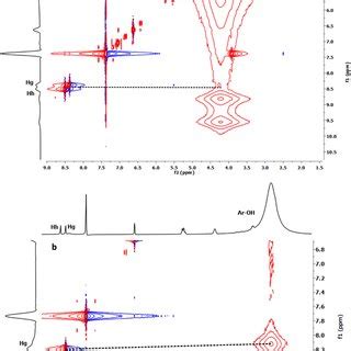 Selected region of 2D NOESY NMR spectra of equimolar mixture of a ...