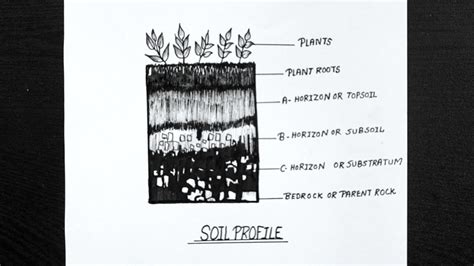 Well Labelled Diagram Of Soil Profile