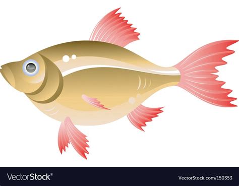 Fish Vector Image On Vectorstock Fish Vector Vector Free Vector Images