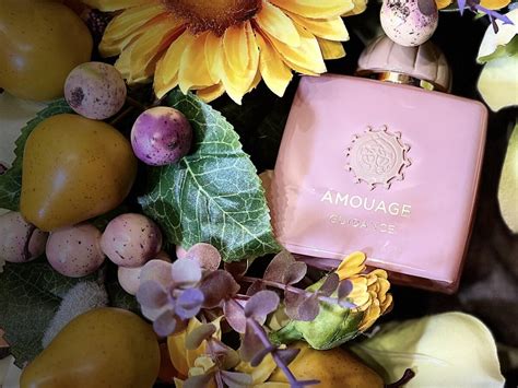 guidance amouage fragancia una fragancia  hombres  mujeres