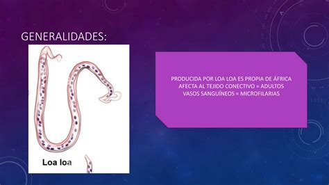 Parasitosis Mansonelosis Y Loasis Medicina Ppt Descarga Gratuita