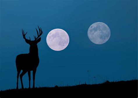 How Deer Hunting Pros Use the Moon to Kill Big Bucks