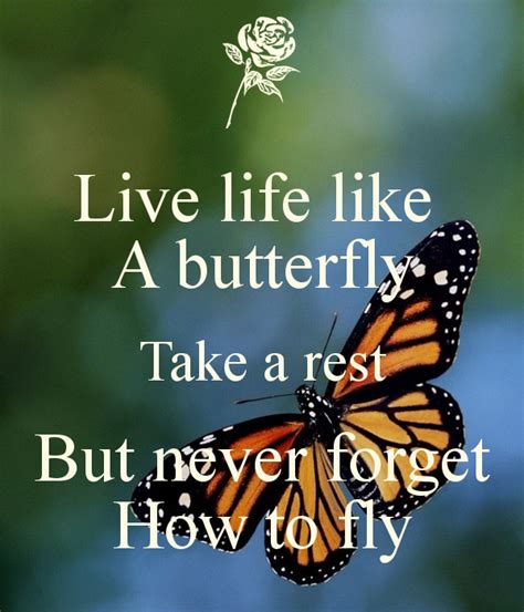 Beautiful Like A Butterfly Quotes ShortQuotes Cc