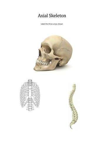 Btec Level 3 Sport 2016 New Specification Unit 1 Learning Aim A Skeletal System Teaching