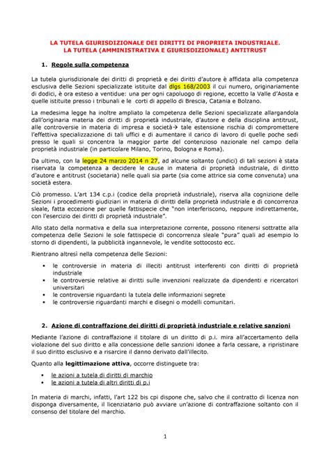 La Tutela Giurisdizionale Dei Diritti Di Proprieta Industriale La