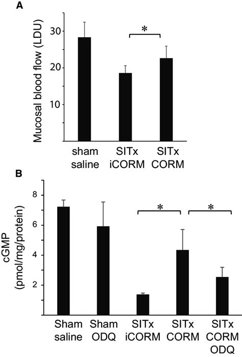 Luminal Administration Of Carbon Monoxide Releasing Molecule 3 CORM 3