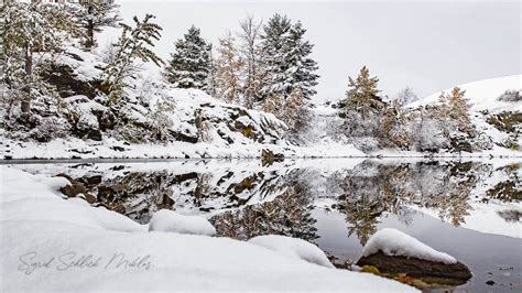 Burmis Lake Sigrid Miklos Flickr