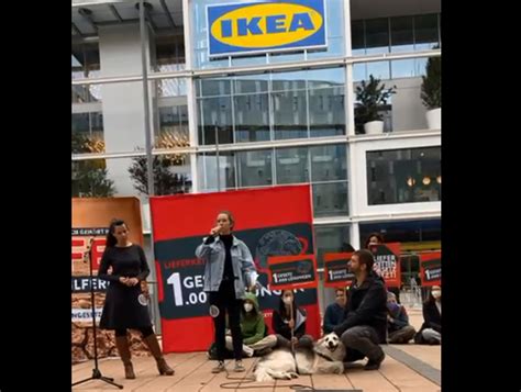 Protest La Viena La Inaugurarea Unei Filiale Ikea Distruge I P Durile