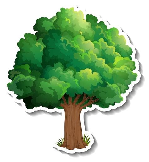 Free Vector A Tree With Green Leaves Sticker On White Background In