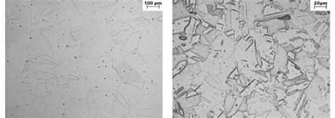 Austenitic Structure With Numerous Annealing Twins Of The Steel In The