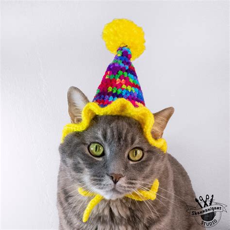 Cat Party Hat | Etsy