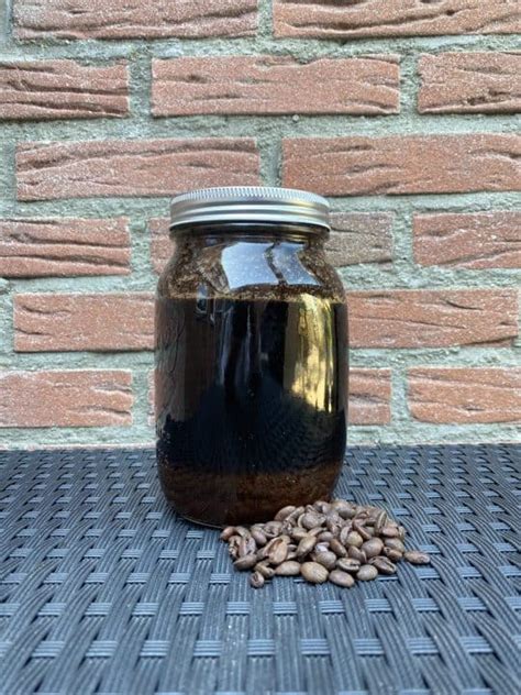 Decaf Iced Coffee: What Is It and How to Make It at Home?