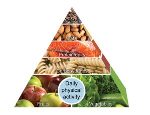 Mayo Clinic Food Pyramid for Weight Loss | Great Care At Low Costs