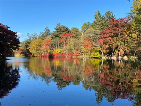 軽井沢「雲場池」の紅葉