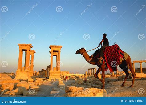 Palmyra Syria Editorial Stock Photo Image Of Alpenglow 16117283