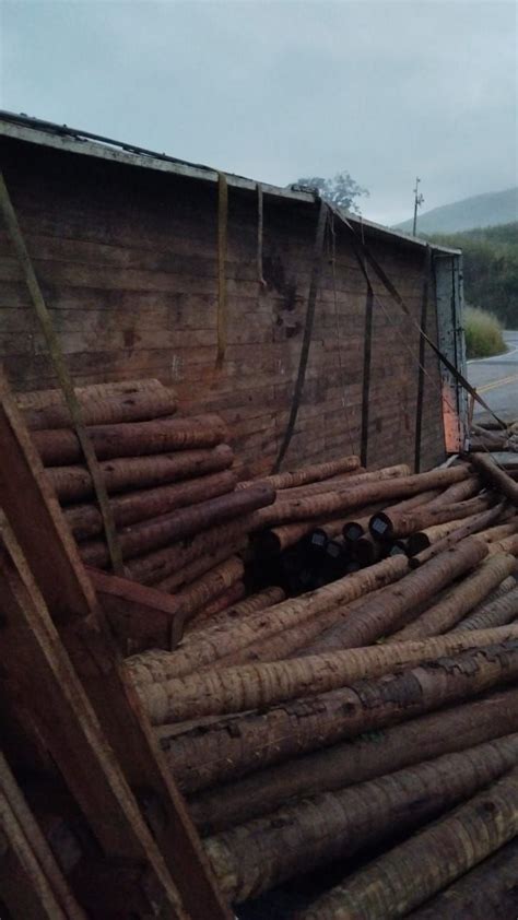 Caminhão carregado toras de eucalipto tomba na ponte do rio pardo