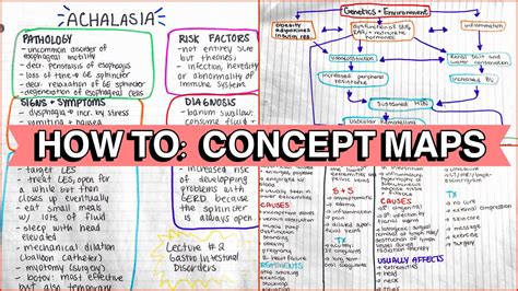 Nursing Pathophysiology Concept Map Template