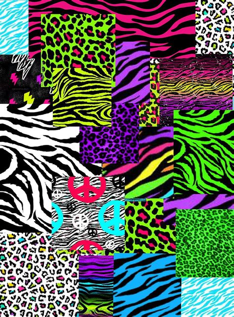 Colorful Neon Zebra Print Colorful Neon Zebra Print For Your