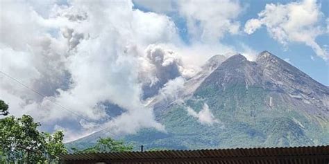 Wedus Gembel Muncul Enam Kali Dari Puncak Gunung Merapi Merdeka