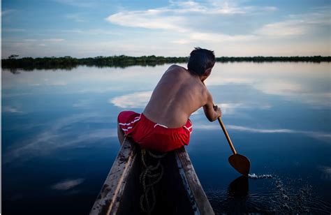 Explore the Peruvian Jungle: Incredible Adventures in Iquitos and ...