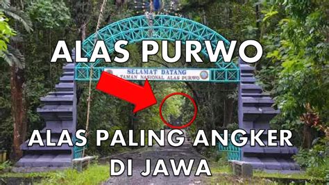 Misteri Alas Purwo Banyuwangi Hutan Paling Angker Di Jawa Youtube