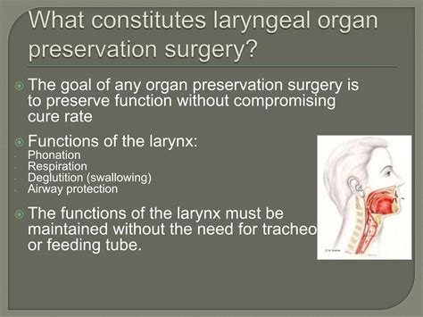 Ct Of The Larynx Ppt