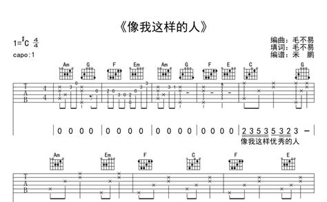 像我这样的人吉他谱 毛不易 C调吉他弹唱谱 琴谱网