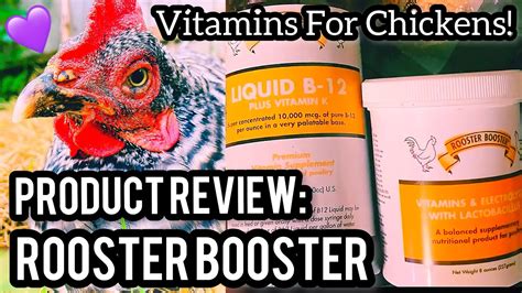 Review Rooster Booster Chicken Vitamins Youtube