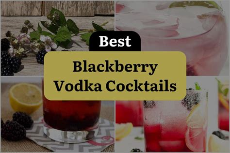 28 Blackberry Vodka Cocktails That Will Shake Up Your Night