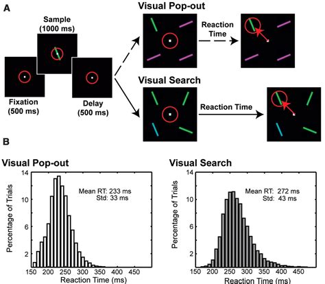 Top Down Versus Bottom Up Control Of Attention In The Prefrontal And