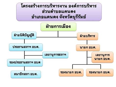 โครงสร้างและการบริหารงาน