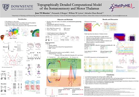 Research Project Using NetPyNE Is Awarded Amongst Best Works In The