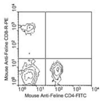 CD4 Antibody 3 4F4 FITC NBP1 28259 Novus Biologicals