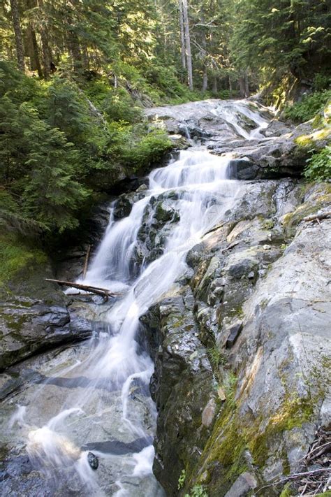 Waterfall Creek Stock Image Image Of Nature Rapid Stream 32260667