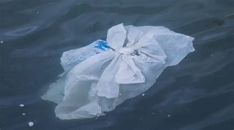 The Ocean Cleanup System Is Successfully Collecting Plastic Waste From Pacific Ocean